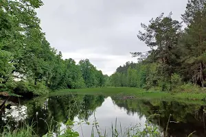 ділянка за адресою Київська