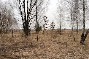 участок по адресу пгт. Ворзель, 