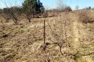 ділянка за адресою Береговий пров. (Горького)
