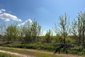 будинок за адресою смт. Гостомель, Приозерна вул.