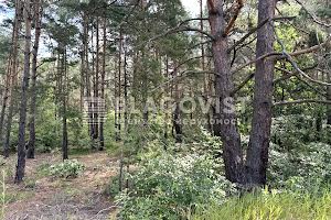 ділянка за адресою Броварський просп.