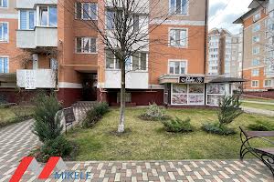 комерційна за адресою Бориса Гмирі вул., 10