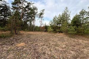 ділянка за адресою с. Ніжиловичі, 