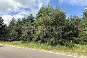 ділянка за адресою Броварський просп.