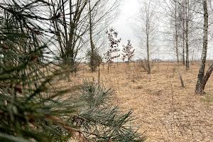участок по адресу пгт. Ворзель, 