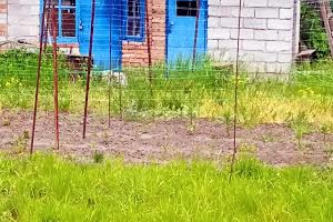 будинок за адресою Тиха