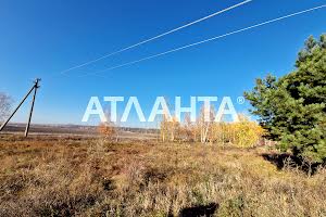 ділянка за адресою смт. Калинівка, 
