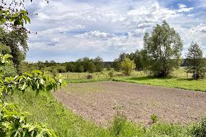 будинок за адресою с. Вахівка, Київська