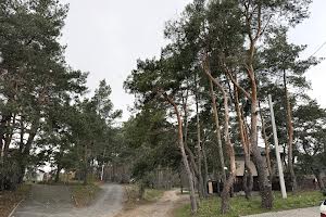 будинок за адресою Павла Глазового вул. (Олега Кошового), 20-Д