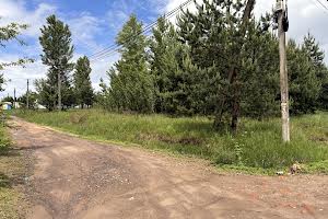 участок по адресу с. Вита-почтовая, Лісова