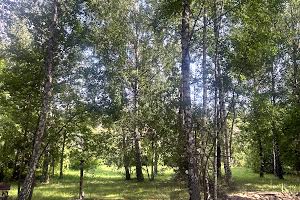 будинок за адресою с. Новосілки, Квіткова