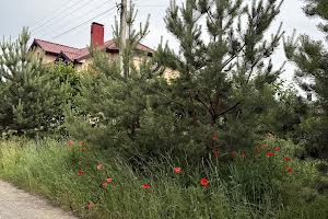 участок по адресу Квітнева