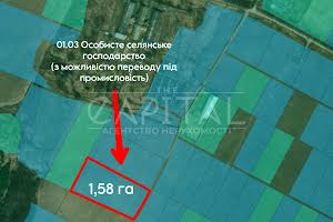 ділянка за адресою с. Шпитьки, 