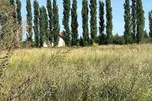 ділянка за адресою с. Білогородка, вчительська, 10