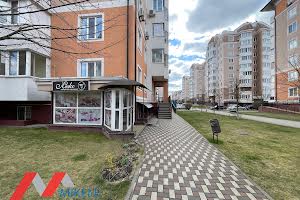 комерційна за адресою Бориса Гмирі вул., 10
