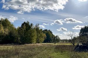 ділянка за адресою с. Здвижівка, Чубаря