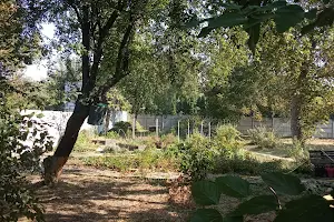 участок по адресу Русановские Сады ул.
