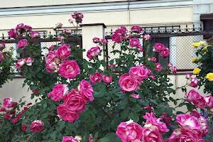 дом по адресу Бахмутская ул. (Курская)