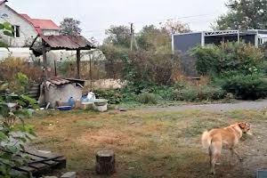 участок по адресу с. Березовка, 