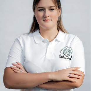 Поправка Дарина