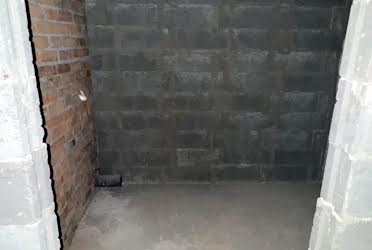 1835715646563172
