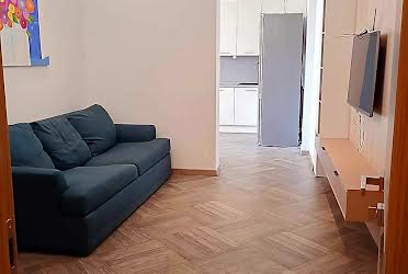 1832167245388002