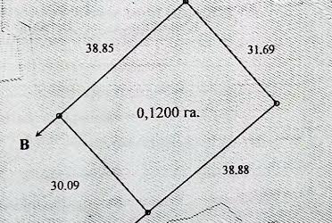 1832275225372217