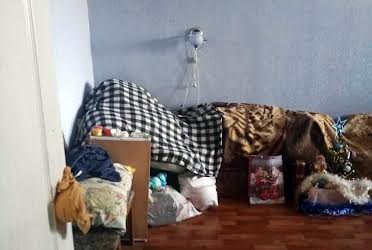 1833437417502391