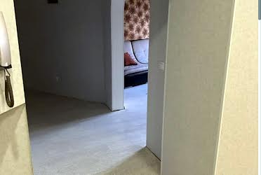 1831371418770411