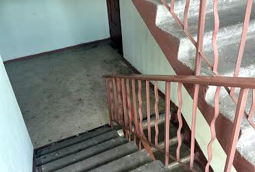 1831449303693491
