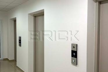 1833462243592494