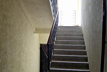 1835185205248524