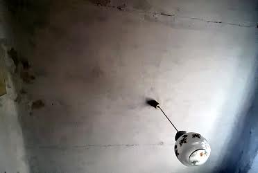 1833454762850055