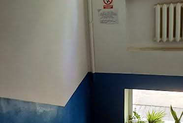 1830896569625684