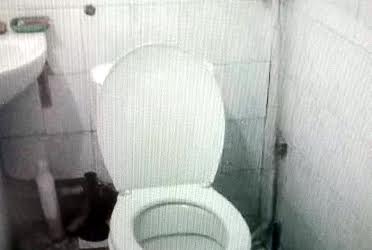 1833185485405726