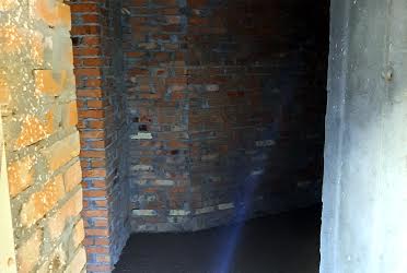 1832542418032748
