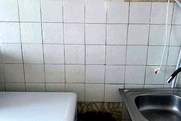 1831471385743914