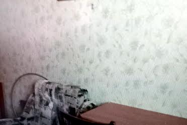 1835707331851947