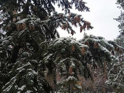 квартира по адресу Воскресенская ул., 14-Д