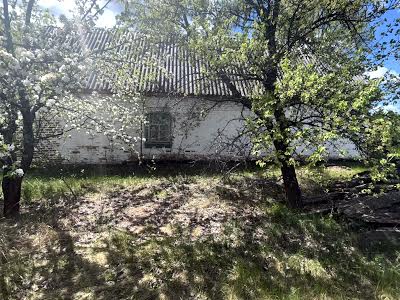 будинок за адресою с. Шпилі, Каті Фещенко
