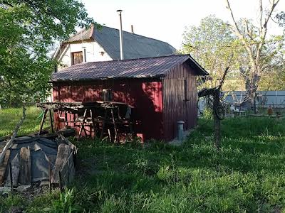 будинок за адресою с. Руликів, Чабанівська вул. (Космонавтів), 125