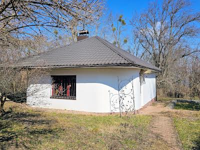 дом по адресу с. Стайки, Київська