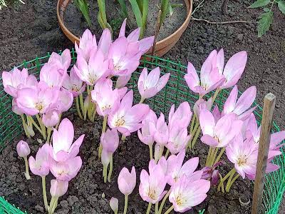 будинок за адресою Озерная, 7