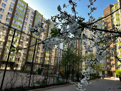 квартира по адресу Академіка Шалімова ул., 69б