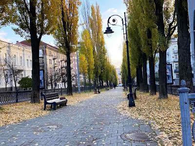 квартира по адресу Киев, Терещенковская ул., 7/13