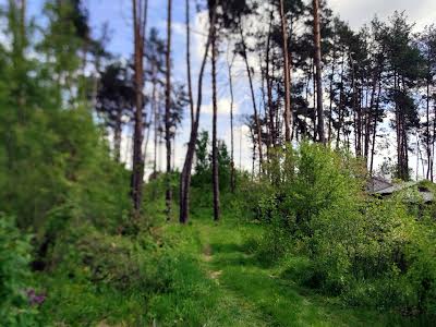 дом по адресу Бровары, пекарна