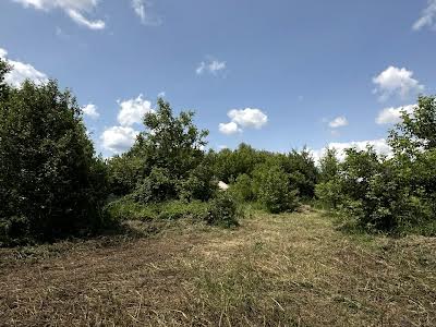 ділянка за адресою Гідності вул. (Жертв Революції), 62в