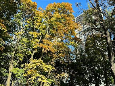 квартира за адресою Дегтярівська вул., 25-А