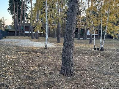 ділянка за адресою Сосновий Бір вул.
