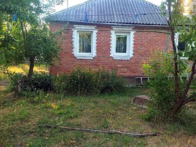 дом по адресу Петровская